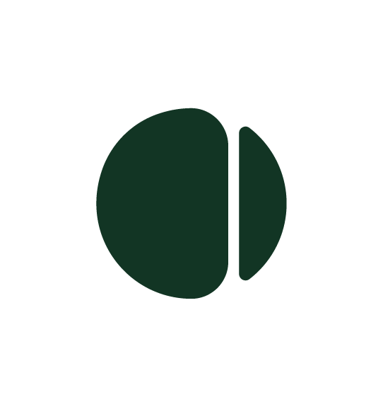 Capwise AI logo