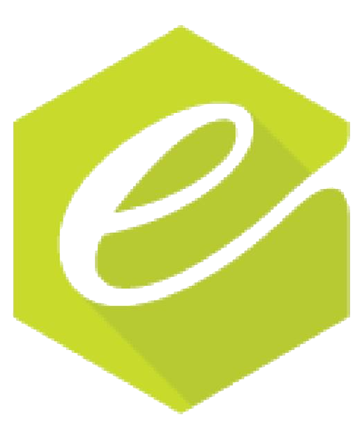 Enumsol logo