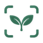 Логотип PlantMD
