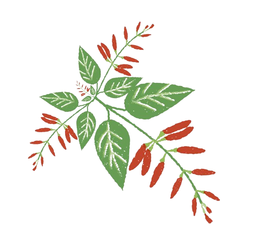 Логотип Salvia - continuous clinical compliance