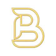Logo de Bidit™