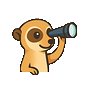 Logo de meertrack