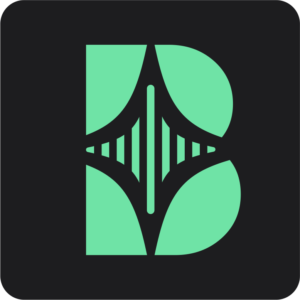 Logo de BrandFlow
