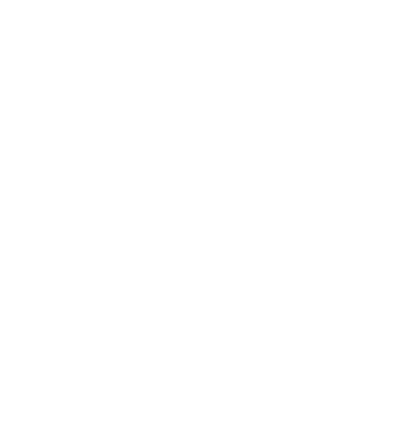 NeuPortal logo