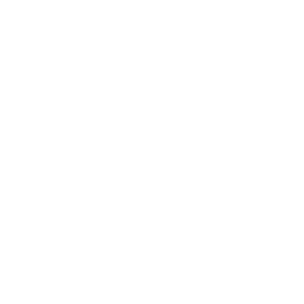 Logo de Nimble Fox