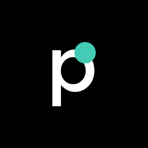 Pludo AI logo