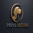 Logo de PriveSecure