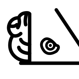 Logo de PsychFlo—Workforce Intelligence Platform
