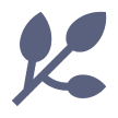 Logo de reseed