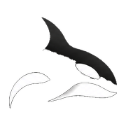 Logo de Project Orca