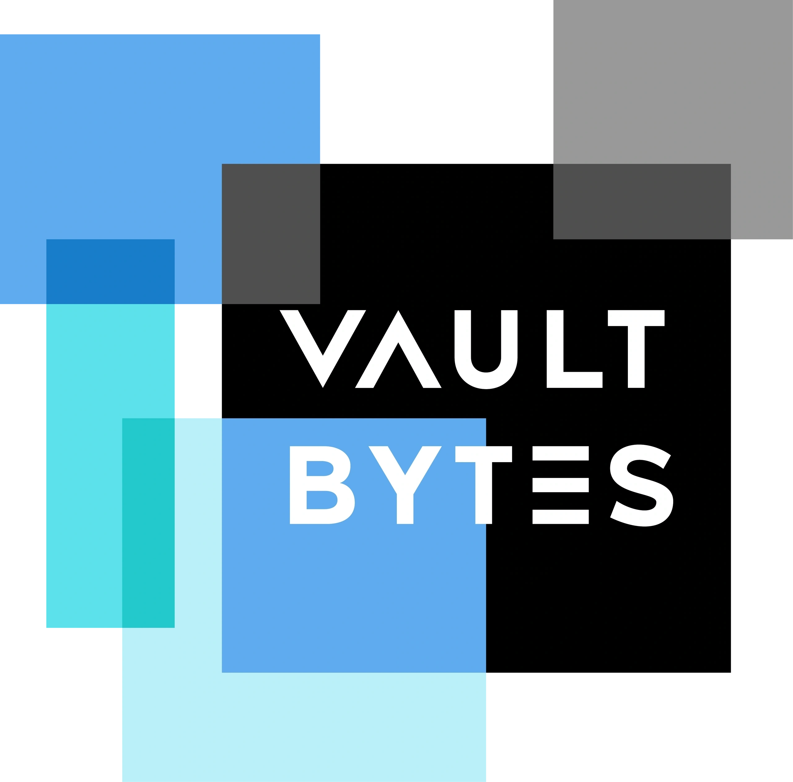Logo de VaultBytes