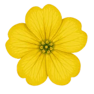 Logo de Aurinia