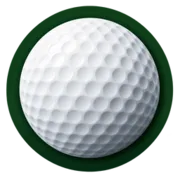 Logo de BirdieDuel
