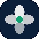 Logo de Blumify