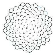 Логотип Conifer