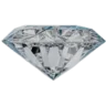 Logo de Fresh SEM