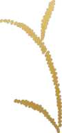 Logo de Hergert Synthora