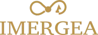 Логотип IMERGEA
