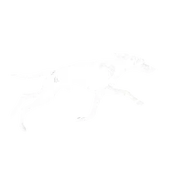NeuronSearchLab logo