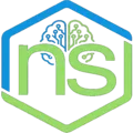 Logo de NexTool Solutions