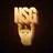 Logo de nsgoods