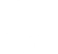 Логотип NyayAssist