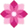Logo de oleander