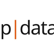 Логотип pdata
