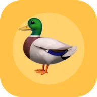 Логотип printyourduck