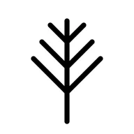 Логотип Raintree Technology