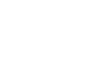 TigerSystem logo