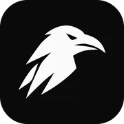 VibeRaven logo