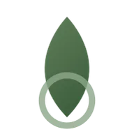 Logo de Vibe Springs