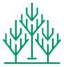 DataForest logo
