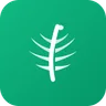 Fernly logo