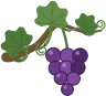 VineVerse logo