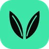 Voxmint logo